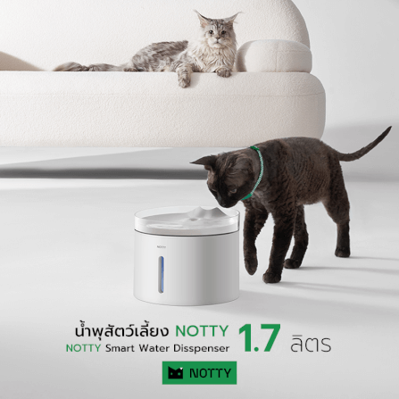 น้ำพุสัตว์เลี้ยง NOTTY_1